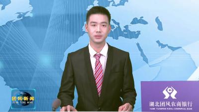 县领导参加县政协分组讨论