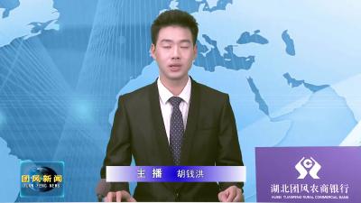 大崎山森林公园开园暨第二届“华园”杯登山比赛开赛