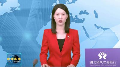 县人大代表审议政府工作报告