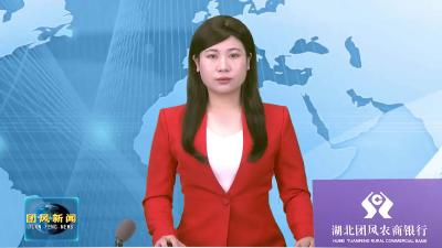 本台评论：在“对接大武汉 融入黄团浠 聚力建支点”中汇众智聚众力——热烈祝贺县政协六届四次会议开幕