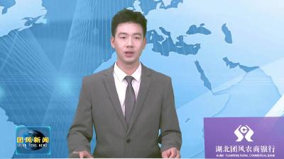胡凯主持召开全县经济运行调度视频会 安排部署当前重点工作