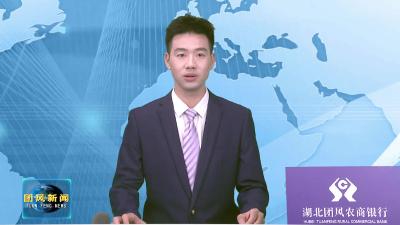 县委召开深入贯彻中央八项规定精神学习教育暨集中整治违规吃喝工作推进视频会