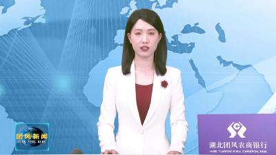 政策春风暖归雁 百亩药田绿意浓 90后返乡创业者深耕中药材产业