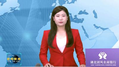 杜皮乡：聚焦红绿融合发展 在支点建设中展现新作为