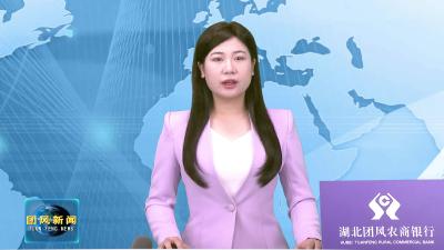 我县召开2025年县规划委员会第一次会议暨