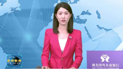 “小县”何以成为鄂东物流新枢纽？