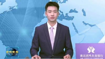 刘君峰率队赴湖北港口集团对接工作