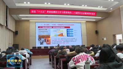 团县委召开学习贯彻党的二十届四中全会精神青年宣讲会