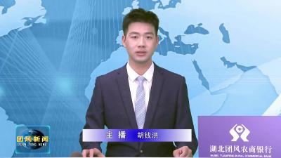 刘君峰调研团风农民画传承发展工作