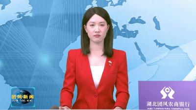 聚焦两会 | 团风县第六届人民代表大会第五次会议举行预备会议