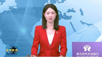 聚焦两会 | 县政协委员热议“一讲话”“两报告” 凝聚共识谋发展  建言资政促攻坚