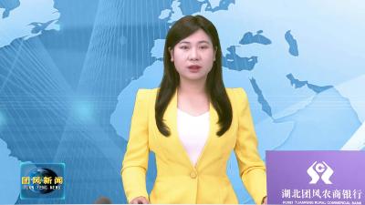 我县召开团风籍在外部分企业家座谈会