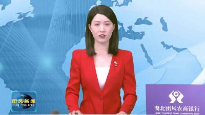 全县平安稳定工作视频调度会召开