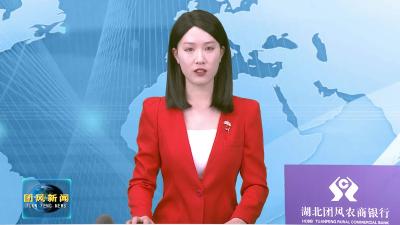 刘君峰指导团风镇党委2025年度民主生活会