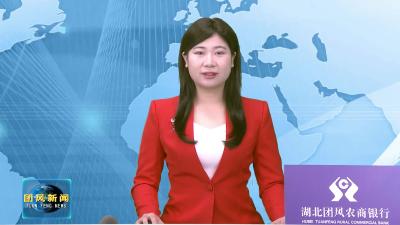 我县举行2026春节“楚商回乡”暨“返乡创业”恳谈会