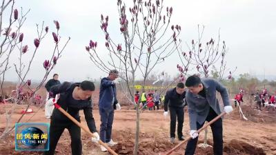 县新程产业投资集团：开展义务植树 践行绿色发展理念