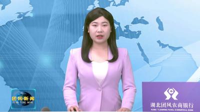 团风县2026年（武汉）招商引资推介会活动圆满举行