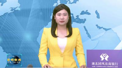 团风中学联校、总路咀高中团风校区：师生“红绿”融合过清明