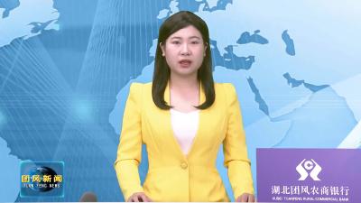 张章调研团风经济开发区企业生产经营情况