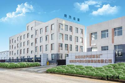 2026年纸箱供应商精选：彩色包装纸箱/运输纸箱/打包纸箱/外包装纸箱/瓦楞纸箱/水果纸箱/电子纸箱/工业品纸箱企业全景解析