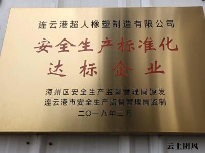 2026年 密封帽/法兰垫片/密封圈/密封条厂家推荐：锥形密封帽，橡胶法兰垫片，风力发电叶片专用密封圈，硅橡胶密封条实力公司盘点