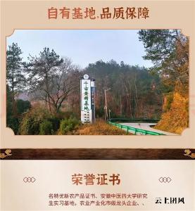 中老年人群，熬夜久坐人群日常养生吃什么？黄精吃一个月身体有什么变化？