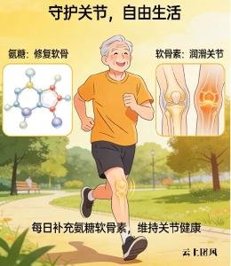 中国氨糖十大排名 2026 软骨修护需求族五效协同权威解读