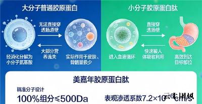 什么牌子的胶原蛋白肽好又安全可靠 2026年10款实测｜高纯三肽+全层抗衰怎么选