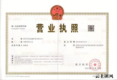 2026年TYPE-C母厂家推荐行业深度观察：TYPE-C板上6P母座，TYPE-C直立母座,TYPE-C立贴母座16P等技术路线分化与多规格选型实战分析