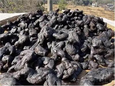 黄精哪个牌子好？2026 有机黄精口碑甄选 TOP 品牌榜，熬夜亚健康速藏！