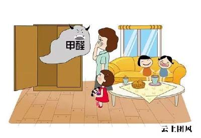 新车除甲醛哪个牌子好？2026年十款优选产品深度点评，快速净化空气
