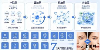 什么牌子的胶原蛋白肽效果好安全 2026年胶原蛋白肽TOP10实测榜｜10款热门产品深度拆解