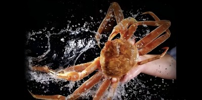 2026优选：鲜活蒸汽海鲜与贝类虾蟹/鱼类刺身品牌机构甄选