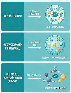 胶原蛋白肽的功效哪个牌子好 2026年10款实测精选·鱼源纯度+吸收率双TOP