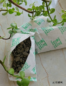 新房除醛多久能入住？2026高效安全治理方案实测+除甲醛产品推荐