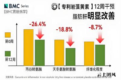 纯植物成分的护肝片，哪个牌子做得好？2026十款植萃护肝大牌实测盘点、筛掉普通款，普通人真实测评扒透行业内幕