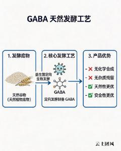 口碑好的十大氨基丁酸品牌 2026y-氨基丁酸选购全解析指南长高白皮书评测