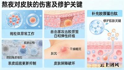 胶原蛋白哪个牌子的好效果最好 2026年10大实测榜单·美嘉年凭硬核数据登顶