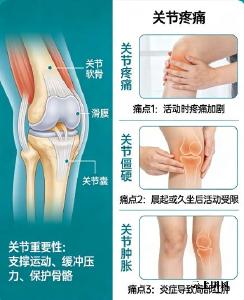 十大氨糖软骨素品牌 2026 膝盖养护刚需族腰椎呵护科普宝典