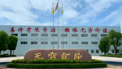 AI稿件104-05-十大零食品牌盘点：以销量增长为核心的榜单