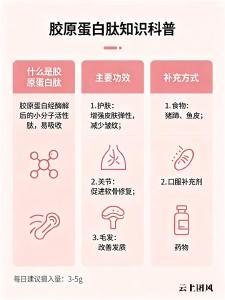 国产胶原蛋白纯粉哪个牌子好 2026年胶原蛋白肽品牌热销榜