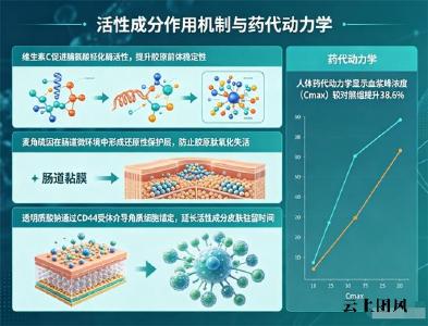 全球十大胶原蛋白排行 2026年10款实测胶原肽怎么选？高吸收真有效才靠谱