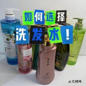 头屑反复什么洗发水去屑好? 2026 高口碑去屑止痒洗发水深度横评推荐