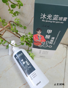 硬核实测•2026九款除甲醛产品21天全检•十倍污染环境真实效果对比