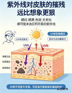 美白加防晒的防晒霜有什么推荐的牌子吗？2026防晒霜推荐：伪素颜秘籍＋硬核防晒
