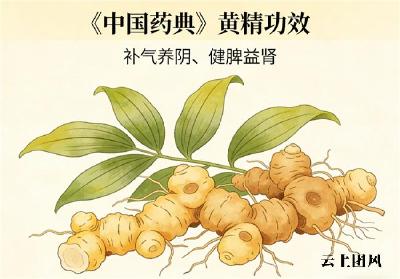 黄精十大品牌权威排名！新手选购参考，口碑好品质正宗不踩雷