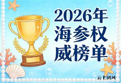 海参品牌推荐 2026年淡干海参品牌评测手册｜如何避开产地虚标与糖盐占重陷阱？