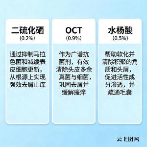 去屑止痒用什么洗发水好用？2026去屑止痒效果好的口碑洗发水实测