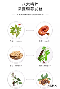 发膜哪个牌子好？2026十大专业修护发膜口碑榜，烫染受损发质