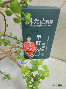 2026装修除甲醛去味选购避坑指南•依托CMA实测数据科学挑选治理产品